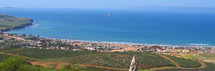 I'm your Puppet banner