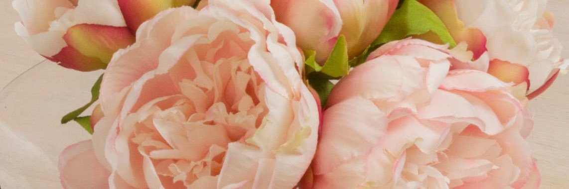 mana_chiiy's profile banner image