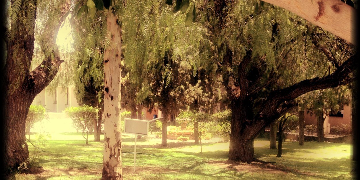 guzutabo's profile banner image