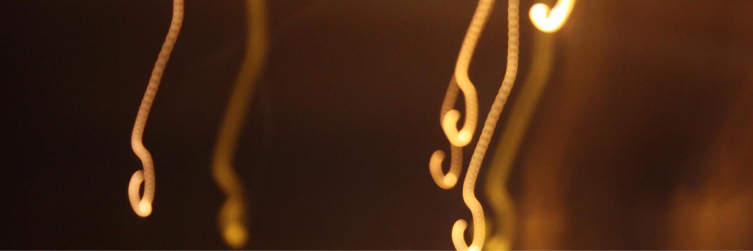 RaulBaylonV's profile banner image
