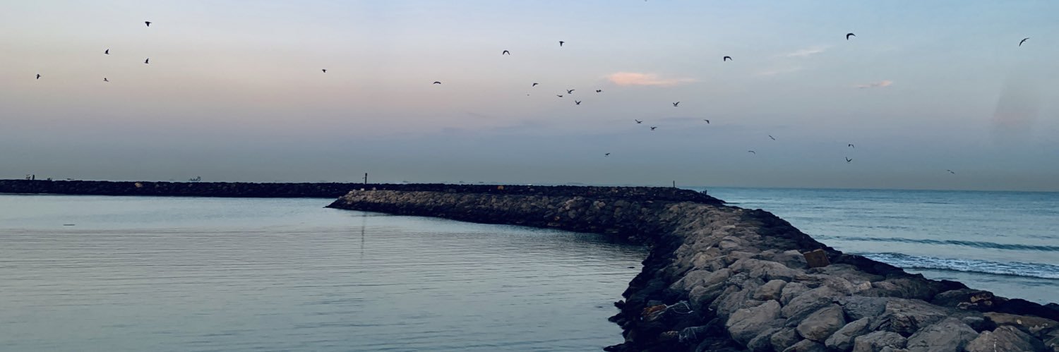 ahmeddfarid's profile banner image