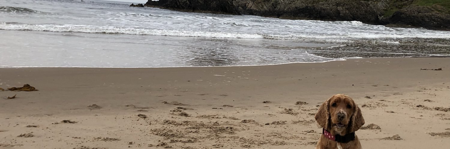 yasminjanex's profile banner image