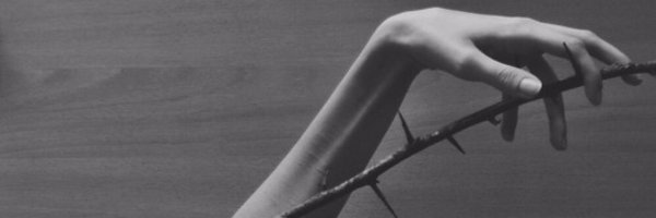 yeolahseung Profile Banner