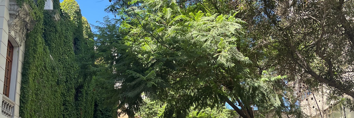 cjbarrientos's profile banner image