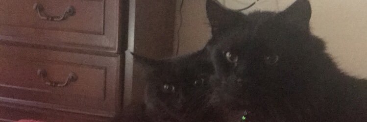 itsbrittanym's profile banner image