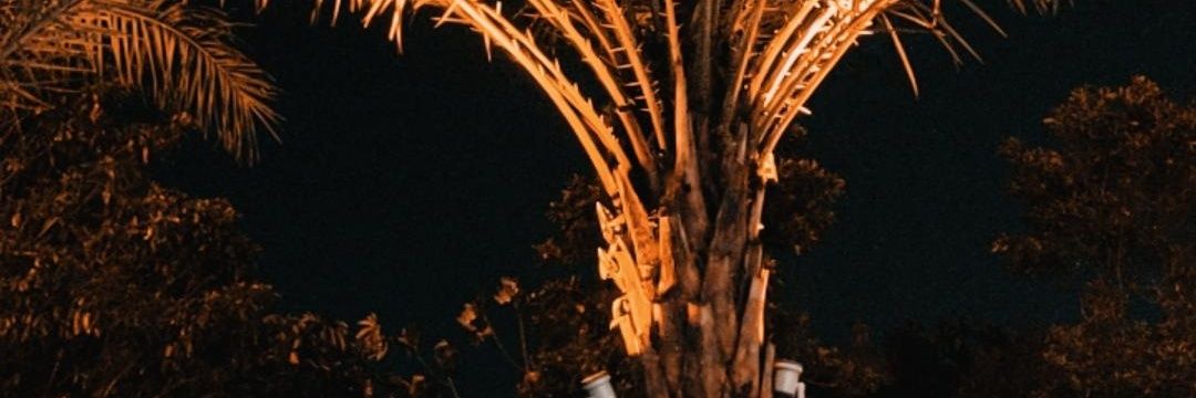 alifahislm's profile banner image
