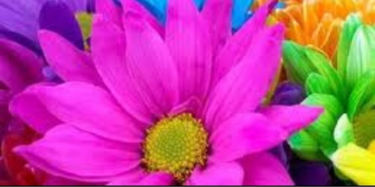 AngelliqueP's profile banner image