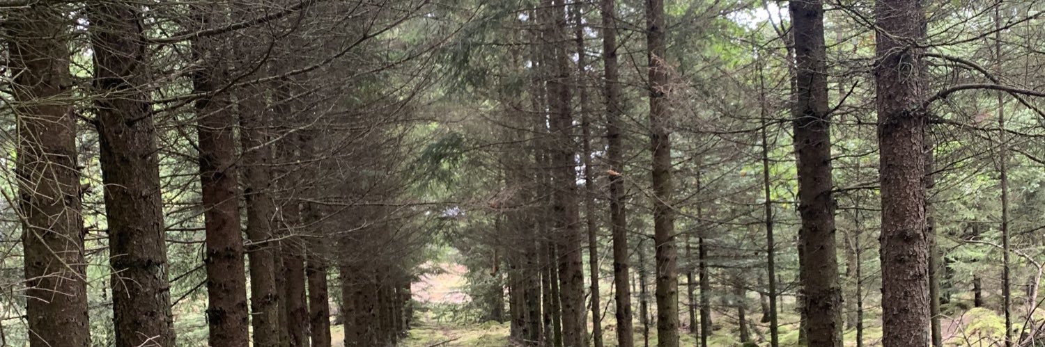 lordvertumnus's profile banner image