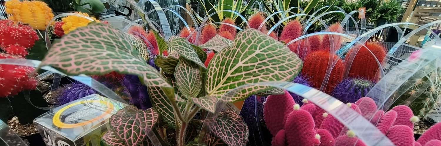 Chad A. Oliver banner