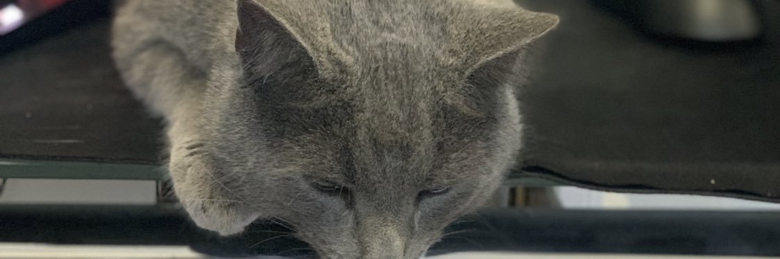 OhRelic's profile banner image