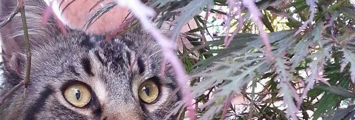 578fronz's profile banner image