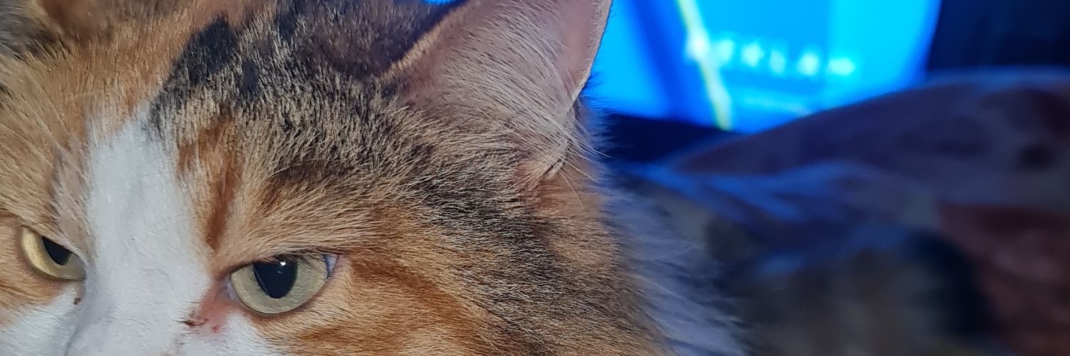 dantebeey's profile banner image