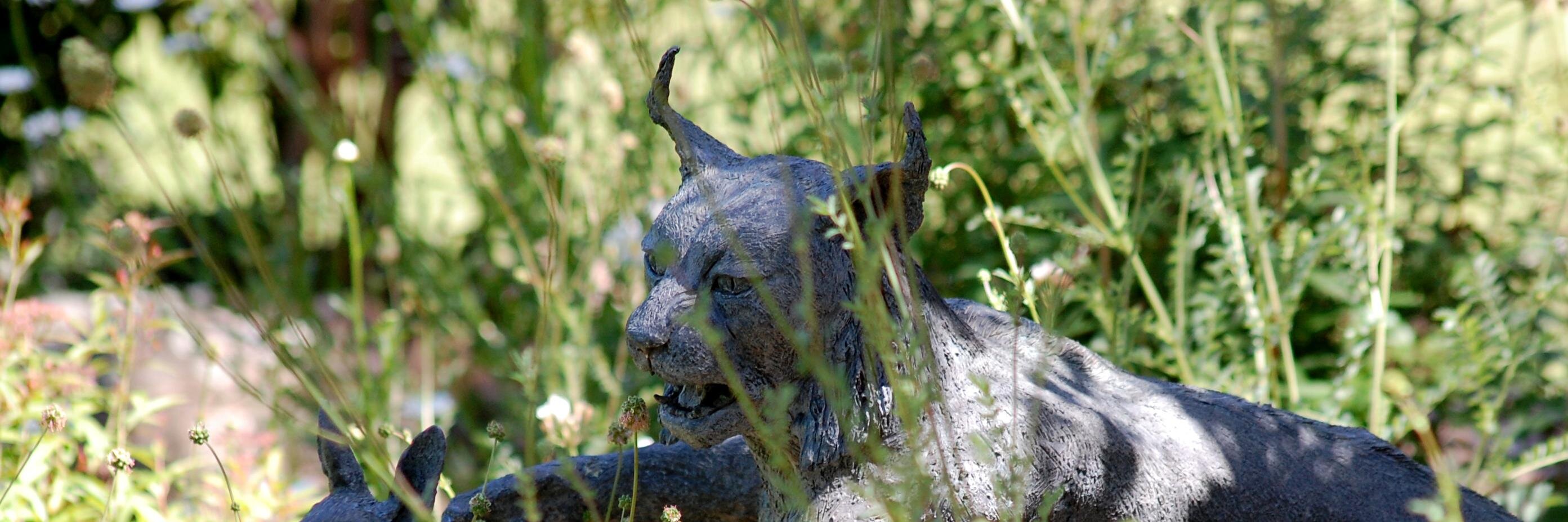 Miguel Mendonça banner