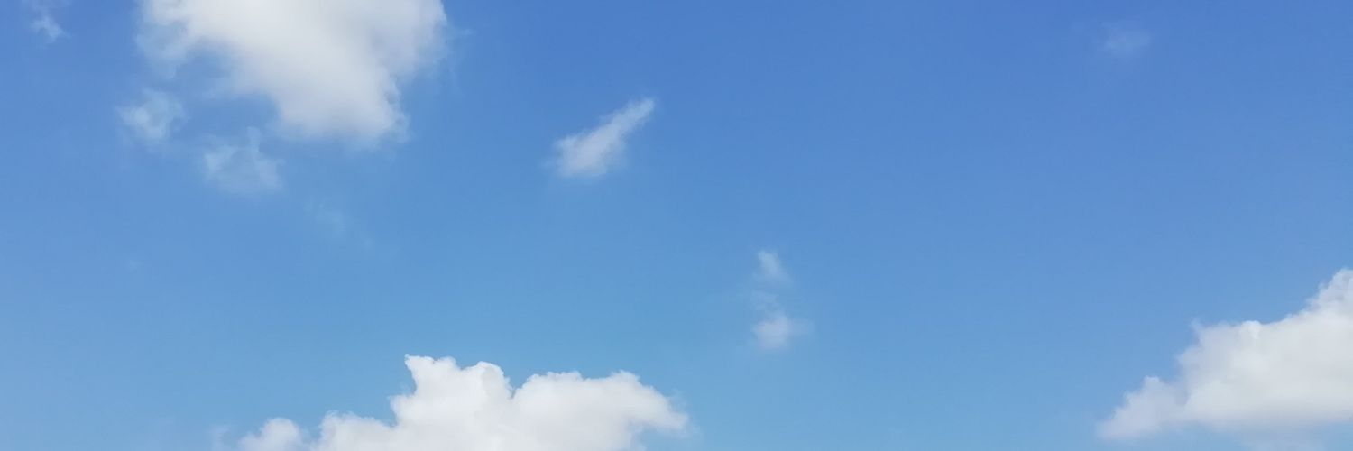 dzlnn__'s profile banner image