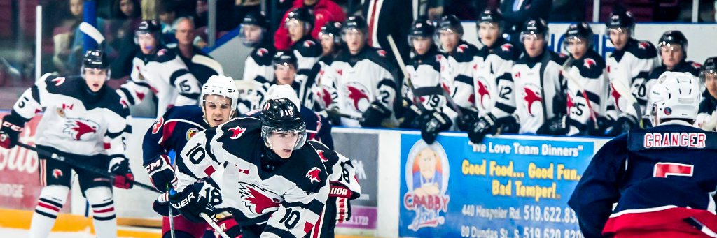 CambridgeWinterHawks banner