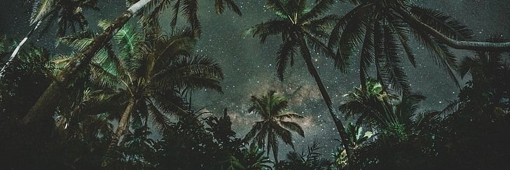 cynthyarod's profile banner image