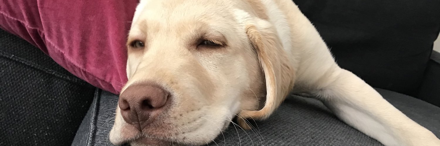 meyerhoffrobert's profile banner image