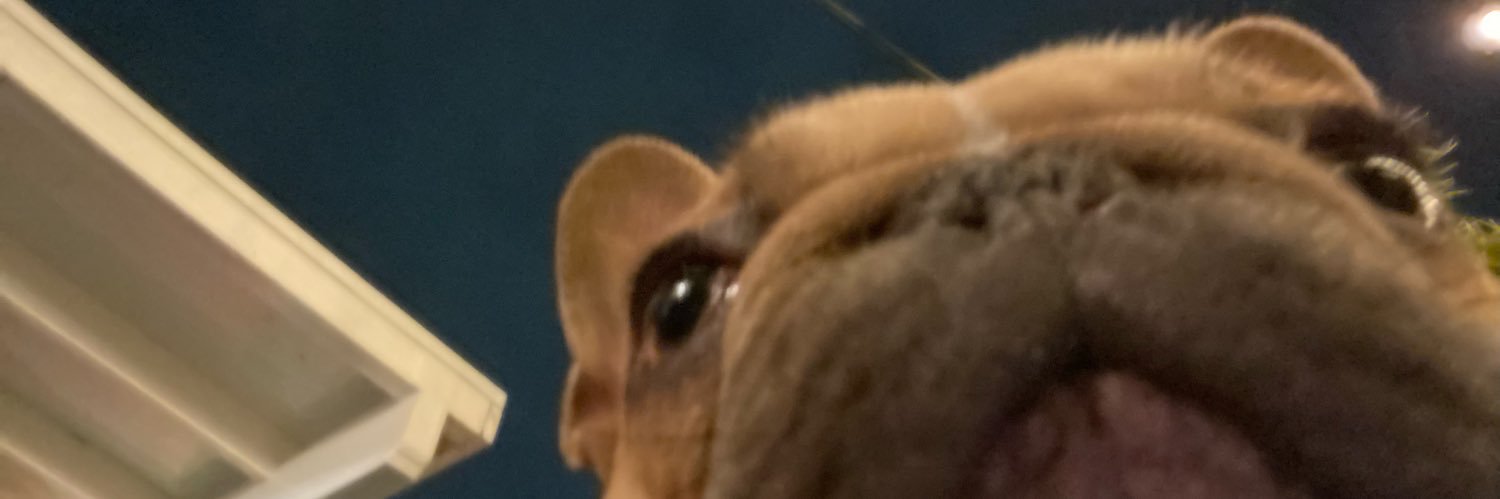 indobabeee's profile banner image
