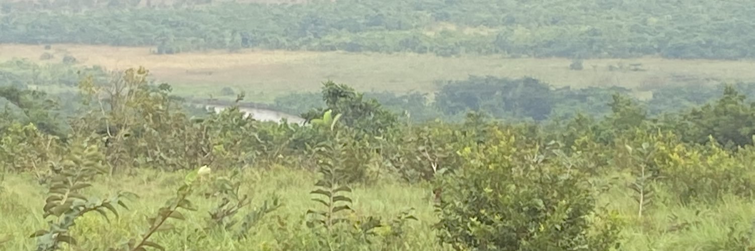 Edoardo Traversa banner