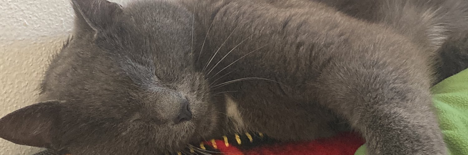 Jun Yoshizaki banner