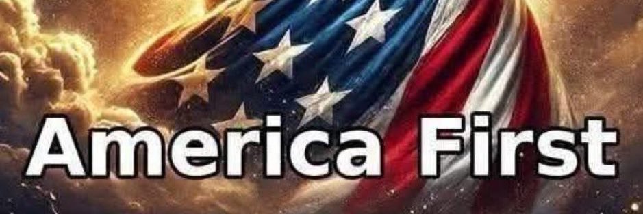 Honeste Segor🇺🇸🇮🇱 banner