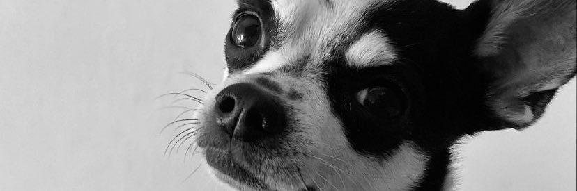 luucciaf's profile banner image