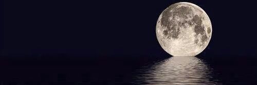 dodam0128's profile banner image