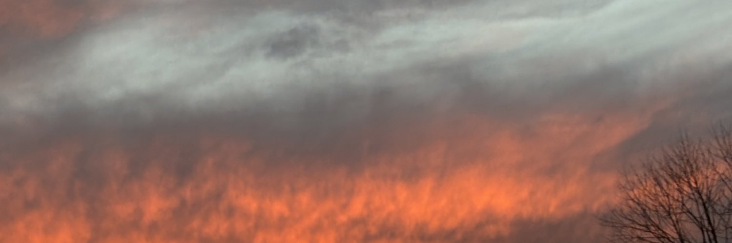 jen 🌿 banner
