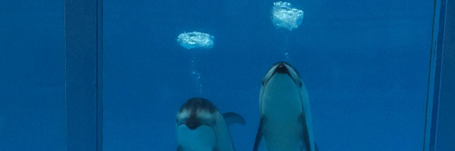 m_m2d's profile banner image