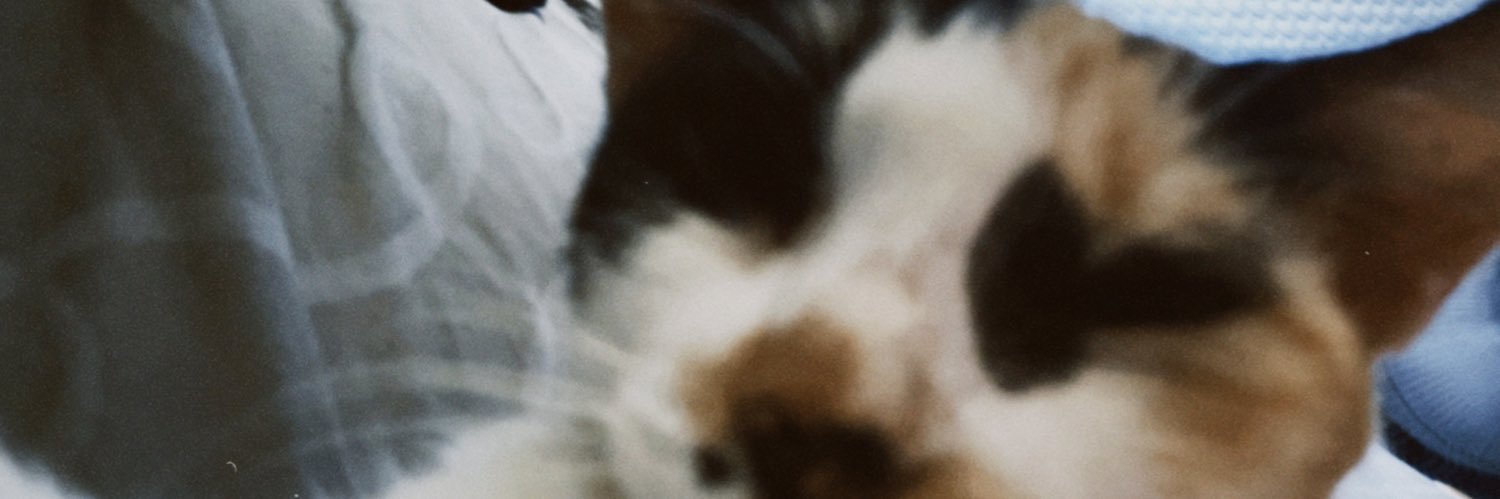 dayughn's profile banner image