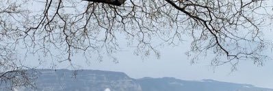 daloniz's profile banner image