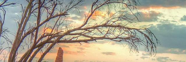 manalazaz's profile banner image
