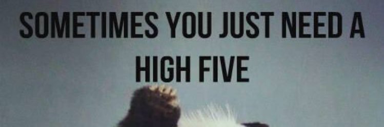 sahglsm's profile banner image