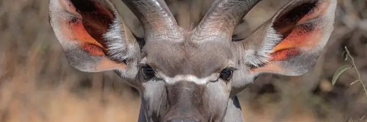 AbdulQuadri Ogunseye theableguy.cc.cc banner