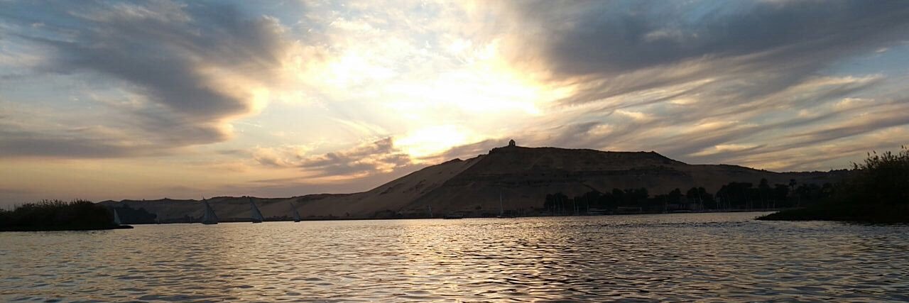 Mayar_Elshafei banner