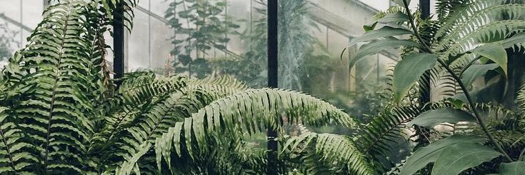 mamoose_'s profile banner image
