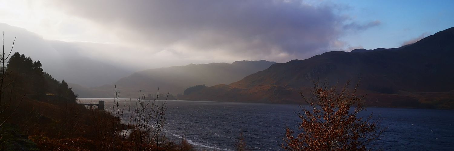Piers_Mortimer's profile banner image
