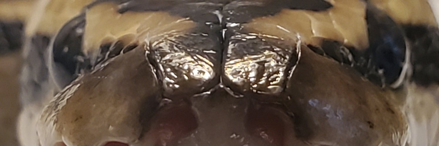 Kryox1's profile banner image