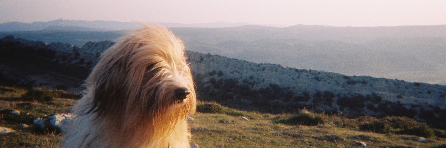 maartaseb's profile banner image