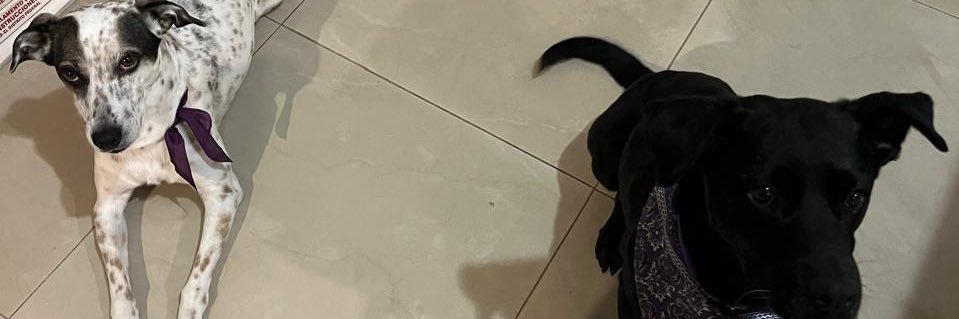 maferOpinionada banner