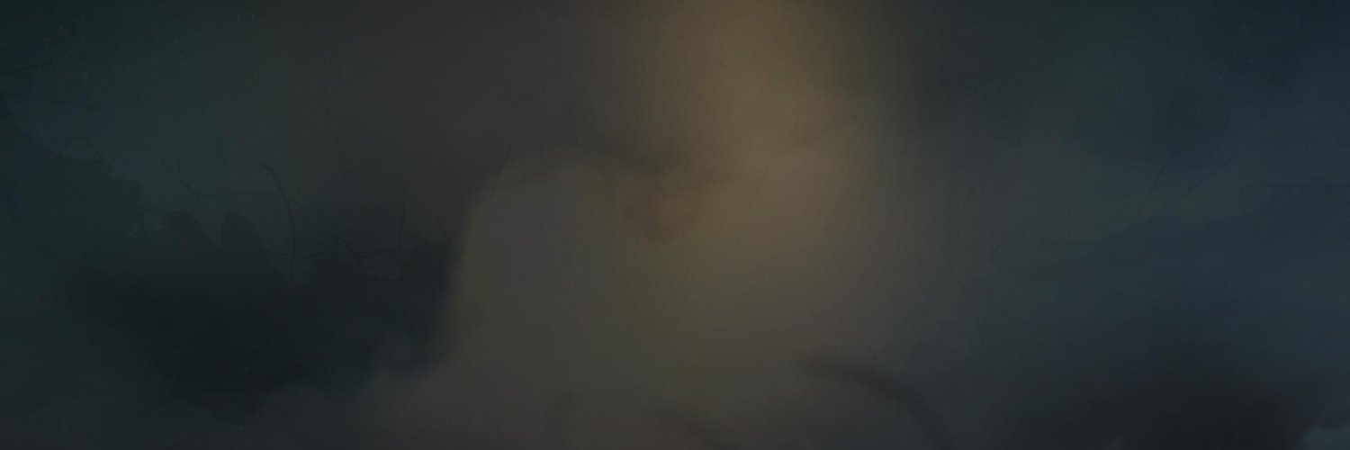 BurkusCat's profile banner image