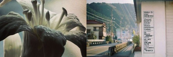 jitwon Profile Banner