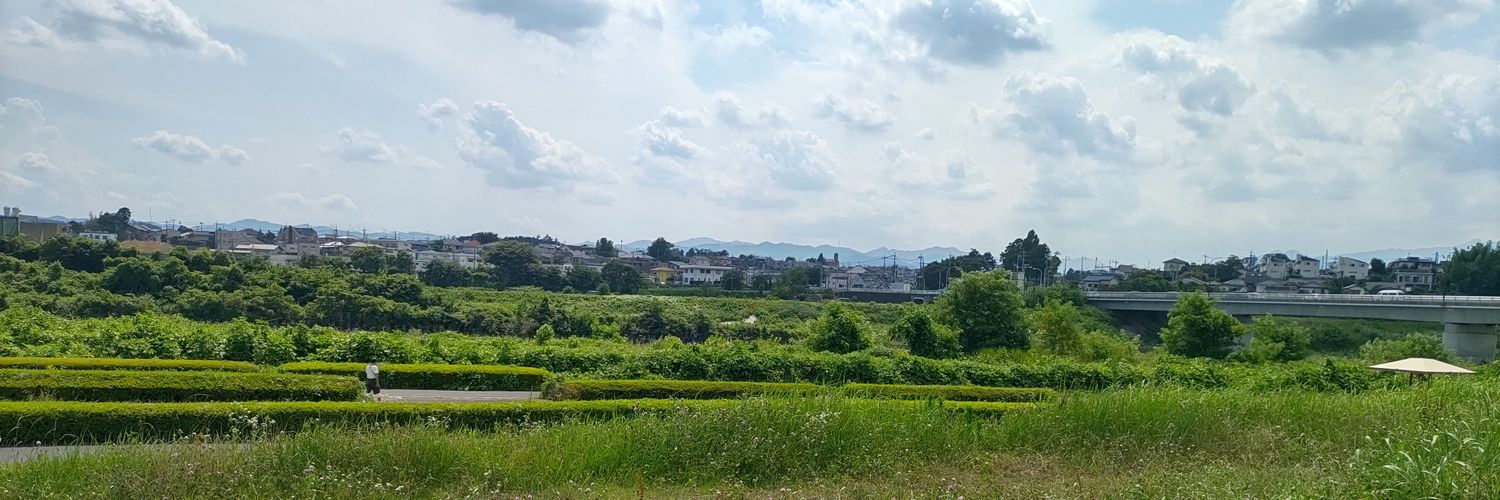 からしP banner