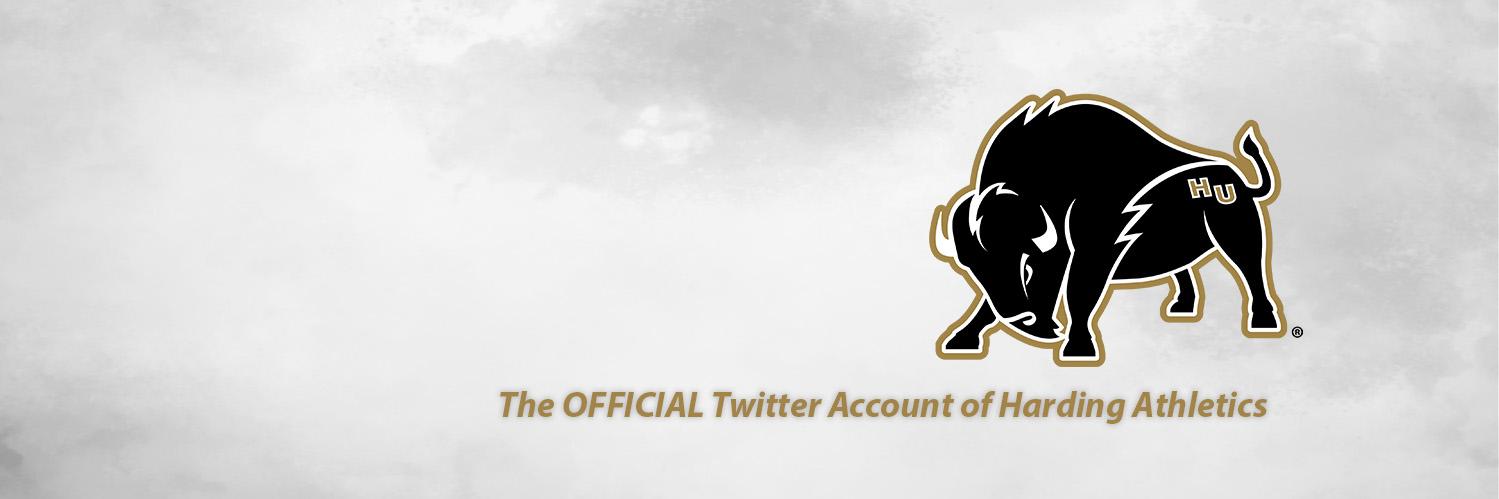 Harding Sports banner