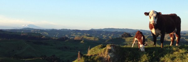 MorrisonFarming Profile Banner