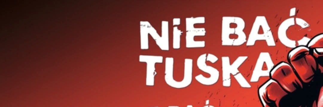 Luiza Dobrzyńska banner