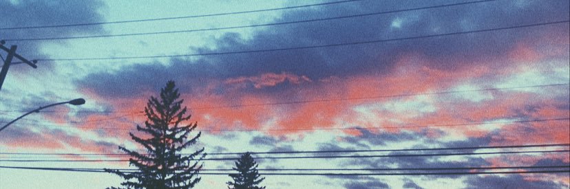 Courtney_Steeb's profile banner image