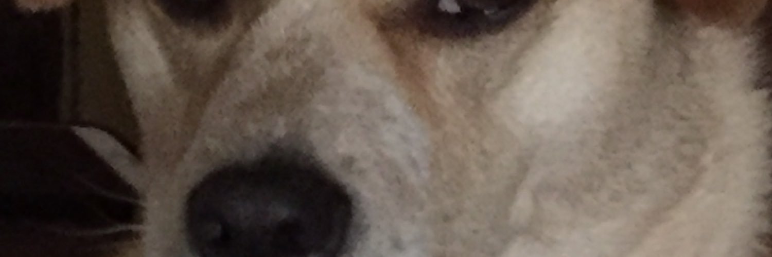 Cookysmart's profile banner image