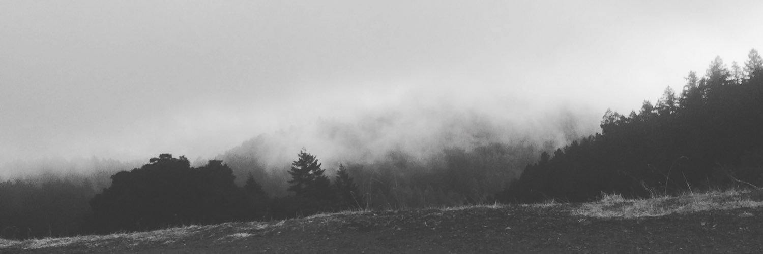 alisa🇷🇺 🤬🇰🇵 banner