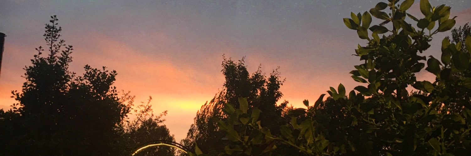 __lafeer's profile banner image